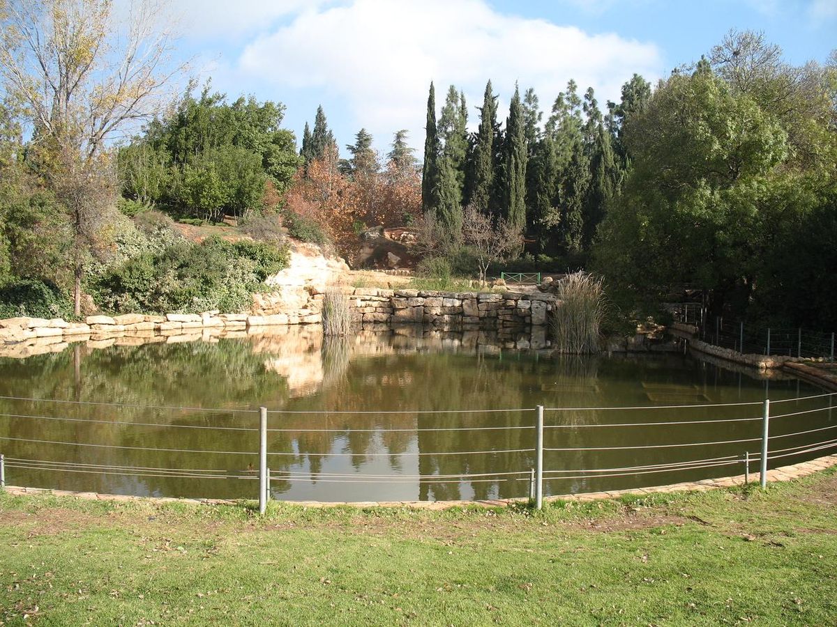 парки израиля